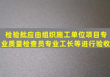 检验批应由()组织施工单位项目专业质量检查员、专业工长等进行验收。