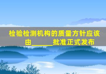 检验检测机构的质量方针应该由______批准正式发布。