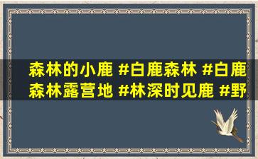 森林的小鹿 #白鹿森林 #白鹿森林露营地 #林深时见鹿 #野生动物零...