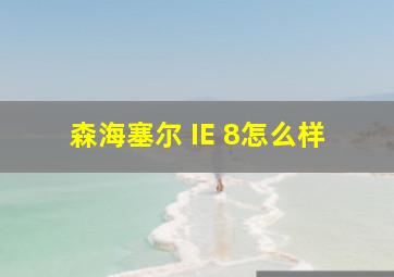 森海塞尔 IE 8怎么样