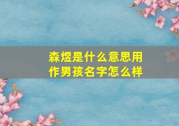 森煜是什么意思,用作男孩名字怎么样