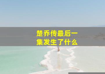 楚乔传最后一集发生了什么