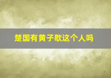 楚国有黄子歇这个人吗