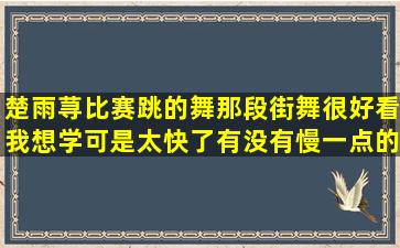 楚雨荨比赛跳的舞那段街舞很好看,我想学可是太快了有没有慢一点的...