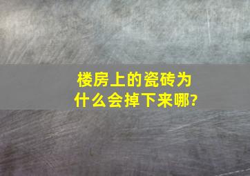 楼房上的瓷砖为什么会掉下来哪?