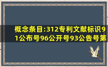 概念条目:312、专利文献标识,91、公布号,96、公开号,93、公告号,第2...