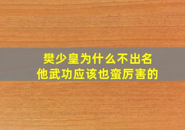 樊少皇为什么不出名,他武功应该也蛮厉害的