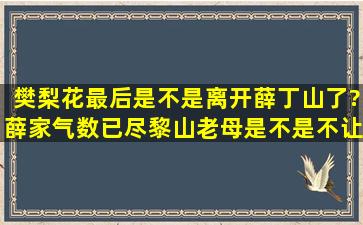 樊梨花最后是不是离开薛丁山了?薛家气数已尽,黎山老母是不是不让樊...