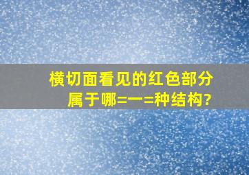 横切面看见的红色部分属于哪=一=种结构?