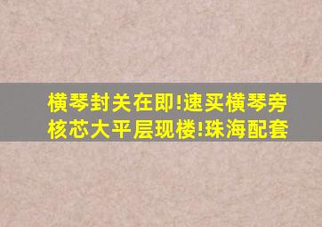 横琴封关在即!速买横琴旁核芯大平层现楼!珠海配套