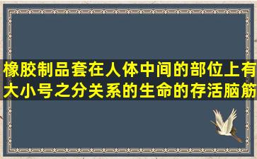 橡胶制品,套在人体中间的部位上,有大小号之分,关系的生命的存活,脑筋...