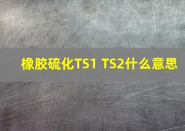 橡胶硫化TS1 TS2什么意思