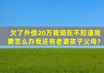 欠了外债20万,我现在不知道我要怎么办,我还有老婆孩子父母?