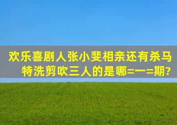 欢乐喜剧人张小斐相亲还有杀马特洗剪吹三人的是哪=一=期?