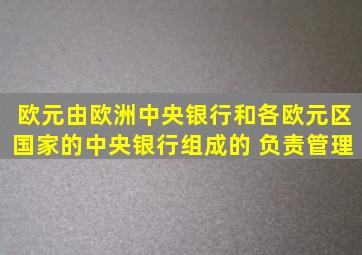 欧元由欧洲中央银行和各欧元区国家的中央银行组成的 负责管理。