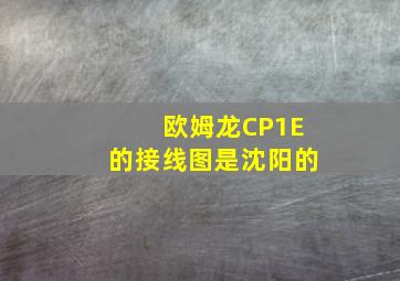 欧姆龙CP1E的接线图是沈阳的