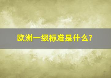 欧洲一级标准是什么?