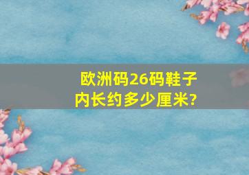 欧洲码26码鞋子内长约多少厘米?