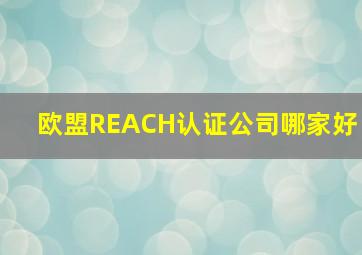 欧盟REACH认证公司哪家好