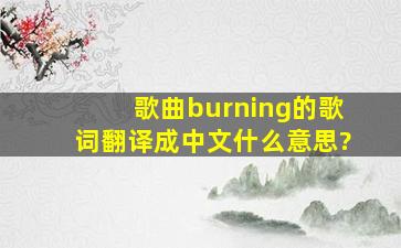 歌曲【burning】的歌词翻译成中文什么意思?