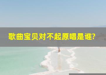 歌曲宝贝对不起原唱是谁?