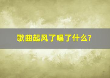 歌曲起风了唱了什么?