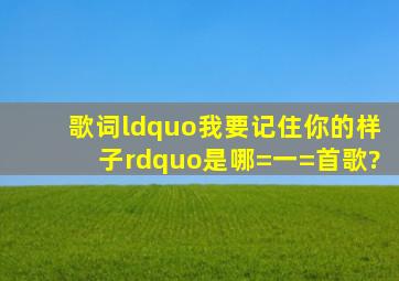 歌词“我要记住你的样子”是哪=一=首歌?