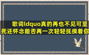 歌词“真的再也不见,可至死还怀念,能否再一次轻轻抚摸着你的脸”是...