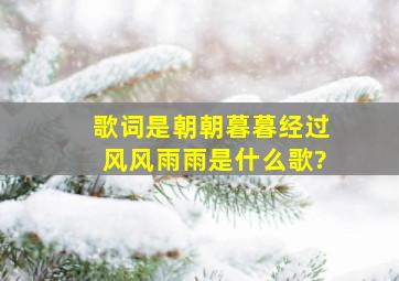 歌词是朝朝暮暮,经过风风雨雨是什么歌?