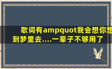 歌词有"我会想你想到梦里去....一辈子不够用了..."请问这=首=歌的...