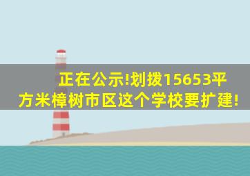 正在公示!划拨15653平方米,樟树市区这个学校要扩建!