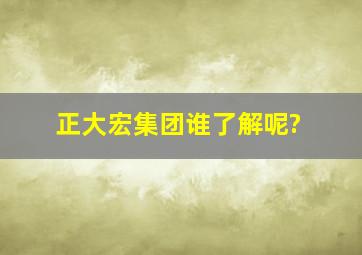 正大宏集团谁了解呢?