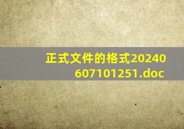 正式文件的格式20240607101251.doc