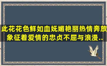 此花花色鲜如血,妩媚艳丽热情奔放,象征着爱情的忠贞不屈与浪漫...