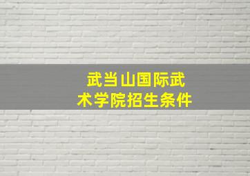 武当山国际武术学院招生条件