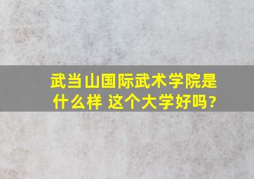 武当山国际武术学院是什么样 这个大学好吗?