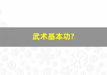 武术基本功?