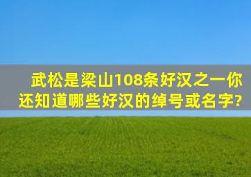 武松是梁山108条好汉之一,你还知道哪些好汉的绰号或名字?