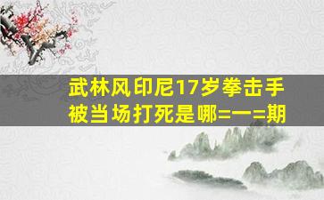 武林风印尼17岁拳击手被当场打死是哪=一=期