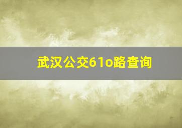 武汉公交61o路查询