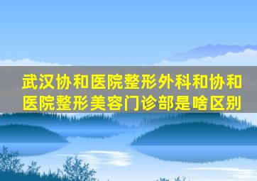 武汉协和医院整形外科和协和医院整形美容门诊部是啥区别(