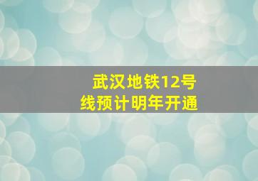 武汉地铁12号线预计明年开通