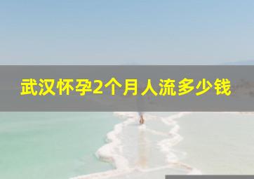 武汉怀孕2个月人流多少钱