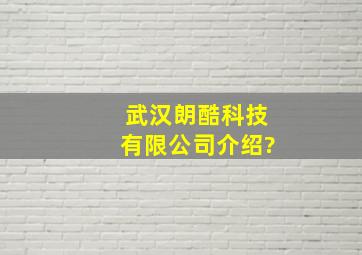 武汉朗酷科技有限公司介绍?