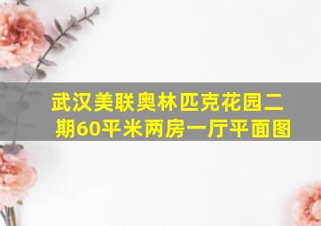 武汉美联奥林匹克花园二期60平米两房一厅平面图