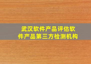 武汉软件产品评估软件产品第三方检测机构