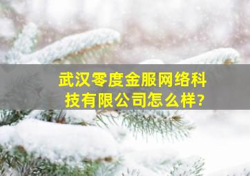 武汉零度金服网络科技有限公司怎么样?