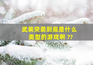 武装突袭到底是什么类型的游戏啊 ??