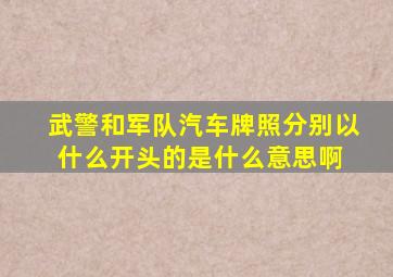 武警和军队汽车牌照分别以什么开头的是什么意思啊 