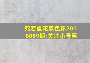 死若夏花双色球2016069期:关注小号蓝